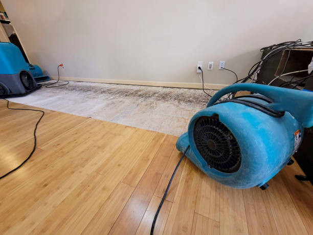 Professional Basement Flood Cleanup technician working in Powell, TN
